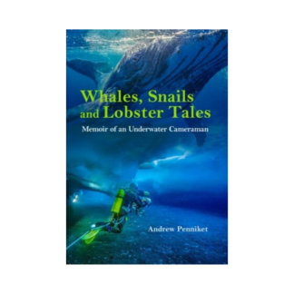 Whales, Snails and Lobster Tales