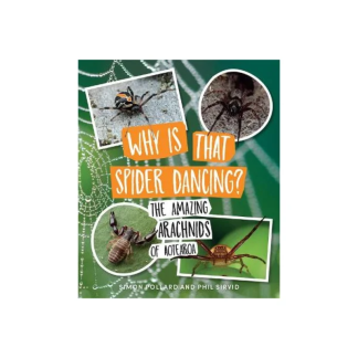 Why is That Spider Dancing?