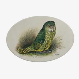 Ceramic Art Tile - Kākāpō - Lodge