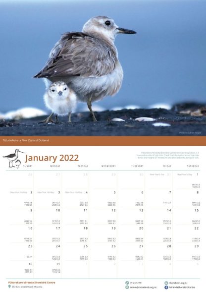 2022 Shorebird Calendar