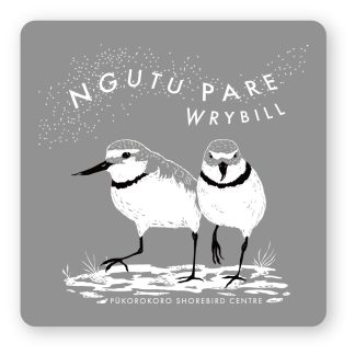 Sticker - Wrybill - Boardman