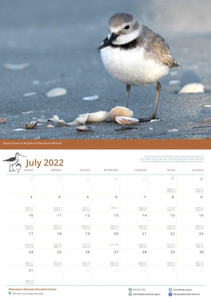2022 Shorebird Calendar